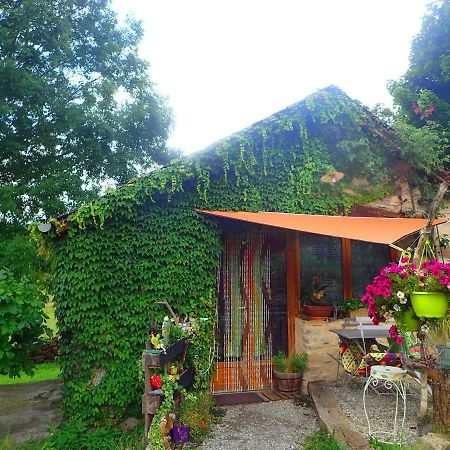 Mas de La Boheme - L'Hermet Saint-Léons Buitenkant foto