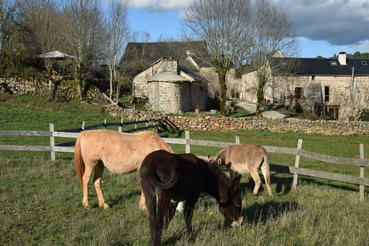 Mas de La Boheme - L'Hermet Saint-Léons Buitenkant foto