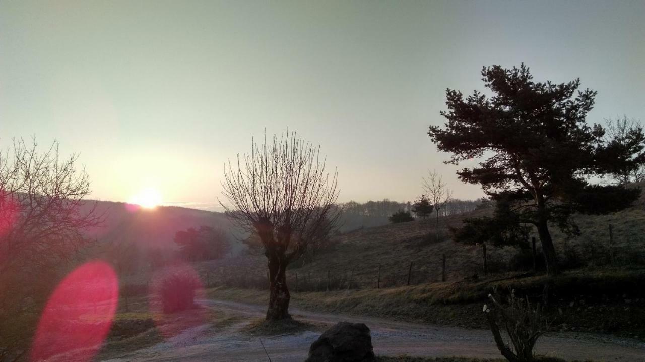 Mas de La Boheme - L'Hermet Saint-Léons Buitenkant foto
